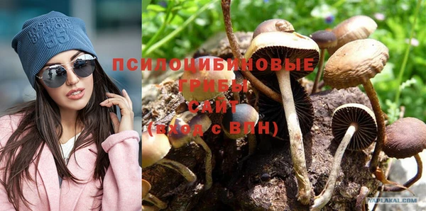 прущая мука Семилуки