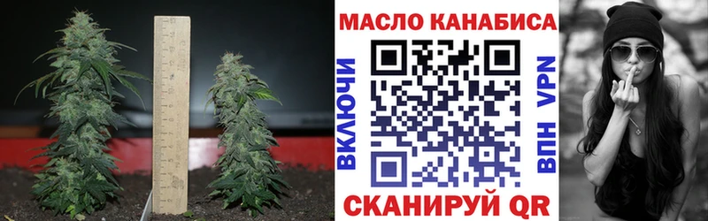 Дистиллят ТГК THC oil Сольцы