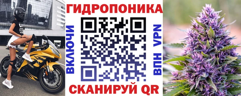 Конопля Amnesia  Сольцы 